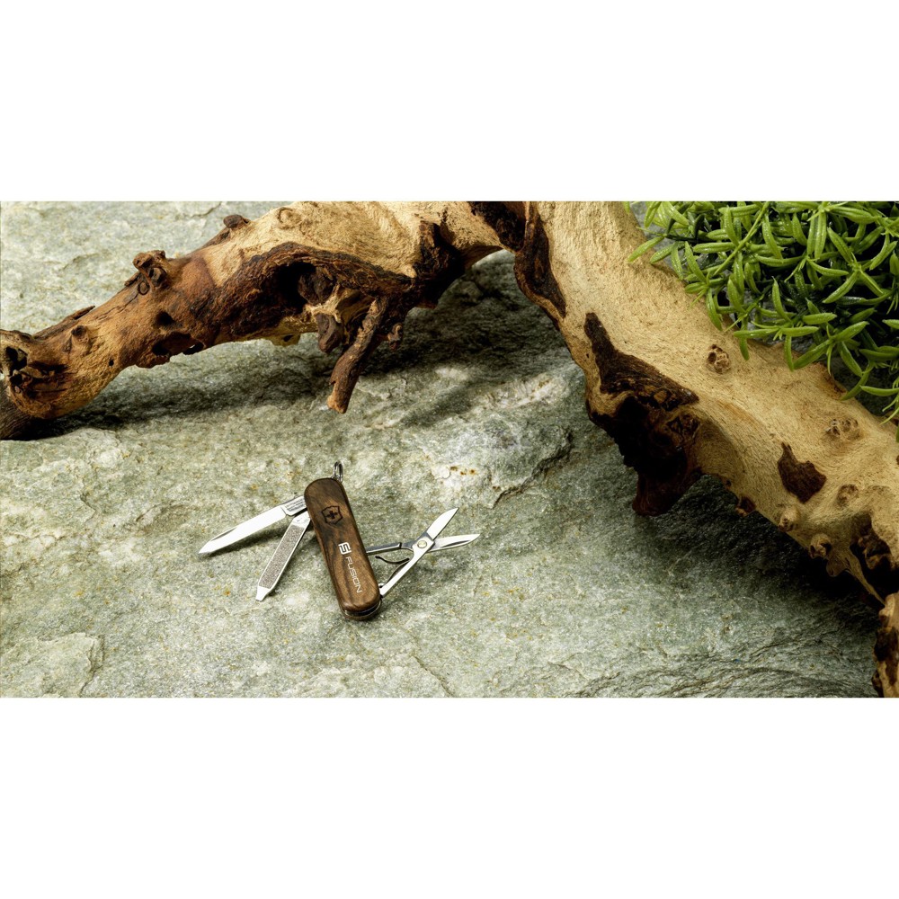 Victorinox Classic SD Wood zakmes