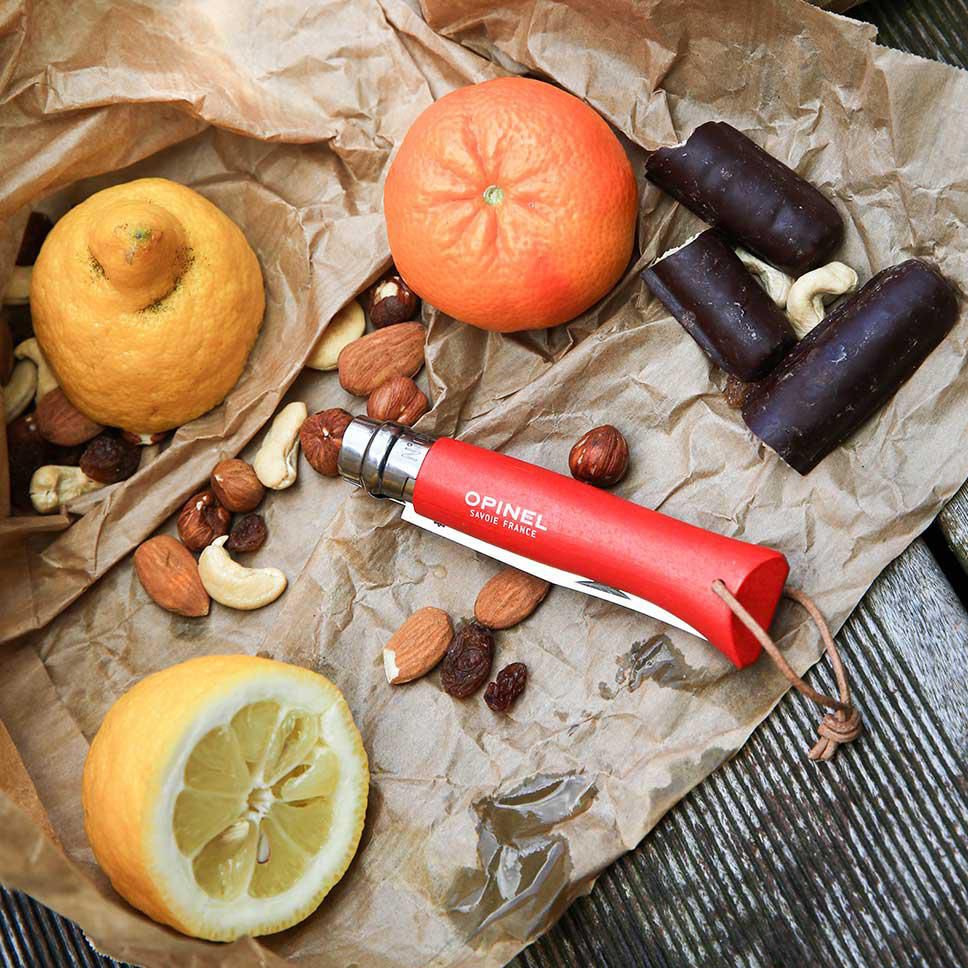 Opinel Colorama No 08 zakmes in een riemetui