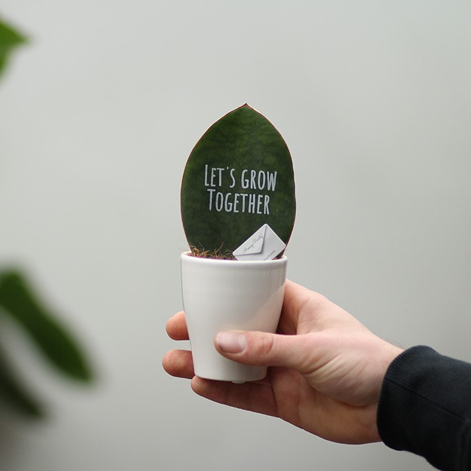 Message Printz® - Baby leaf in giftbox, In giftbox
